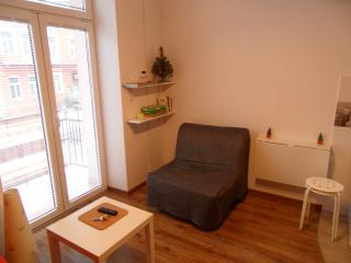 Apartament Kraszewskiego - Krynica Zdrój - 3