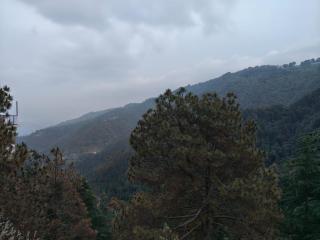 Raj Hotel - 1