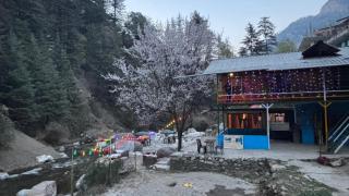 Zenden Stay And Cafe - 1