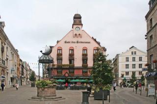 Les HORTENSIAS - 2
