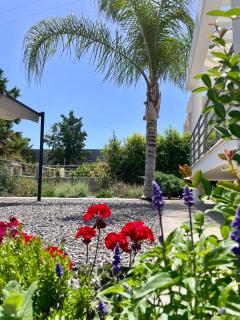 Iloma Villa 6 km from Nafplio - 8