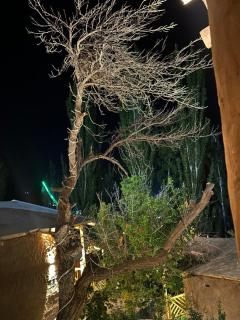 Trivor resort - 1