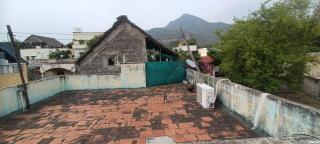 Nature's Abode - 4