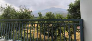 Touch wood guest house - 6