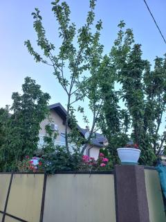Villa Kasinda - 9