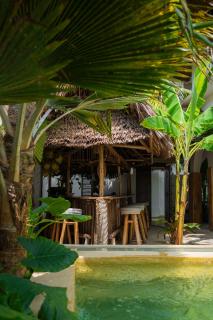 Mlango Paje Villa Boutique - 9