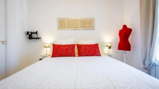 Casa en Merida,La Colmena de Ana, petfriendly con dos patios privados - Mérida - 9