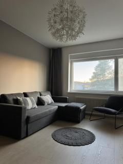 Stunningly renovated apartment with a parking space - 9