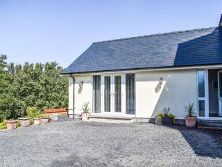 Afonig Loyw - Dyffryn - 4
