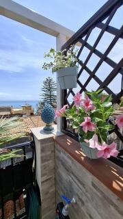 Terrazza Enjoy - 8