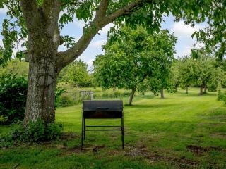 Orchard Barn - Meare - 4