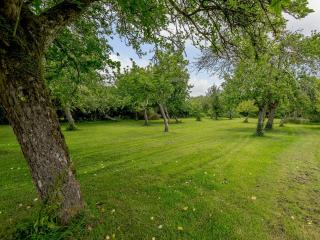 Orchard Barn - Meare - 2