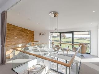 The Lookout - Ukc3846 - 1