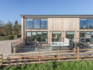 The Lookout - Ukc3846 - 8