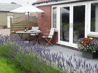 Holly Lodge - Hemsby - 3