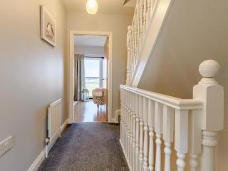Kittiwake - 6