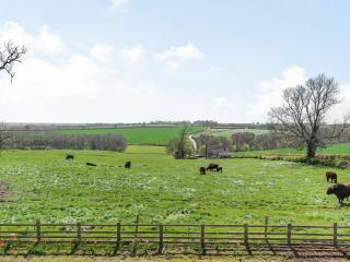 Lizzie's Cottage - 2