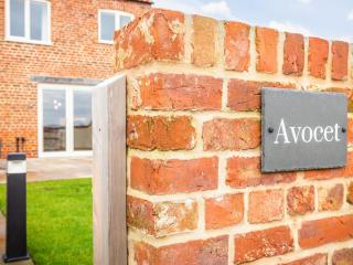 Avocet - Uk32213 - 2