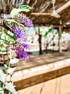 Green Ocean Zanzibar Boutique Retreat Hotel - 3