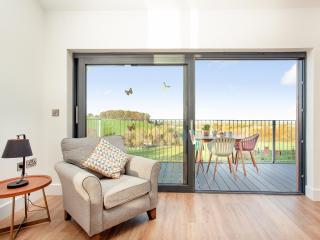 Bluebell-Uk34613 - 1