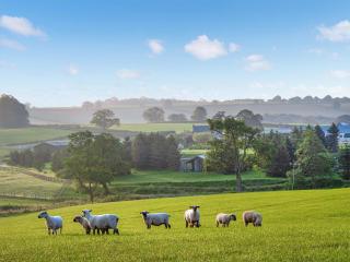 Melbury Lodge - Uk31009 - 7