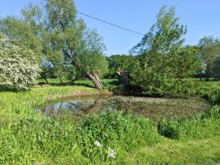Larks Nest - 4