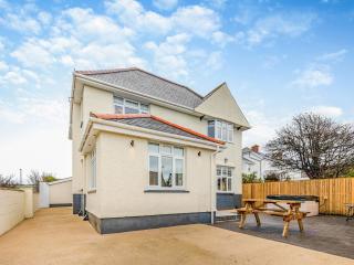 Bryndedwydd - 4