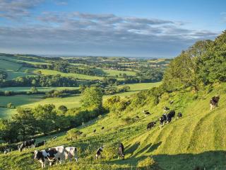 Henning Lodge - Uk31008 - 5