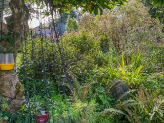 Magnolia Cottage - 8