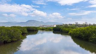 Blossom Land Sanya Yalong Bay, Luting - 4