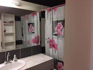 Studio cabine 5 pers, balcon, 80m pistes, animaux ok - FR-1-404-228 - 6