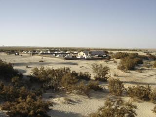 Campement Sahara Oasis Douz - 7