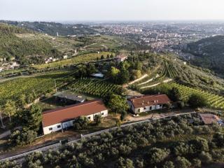Agriturismo Poggio Toccalta - 6