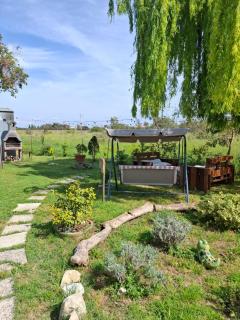 Casa vacanze Rosa Bianca a Vada - Rosignano Marittimo - 7