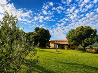 Fonte Fantina agriturismo & olio Evo in Maremma Toscana - 1