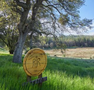 Red Tail Ranch - Groveland - 5
