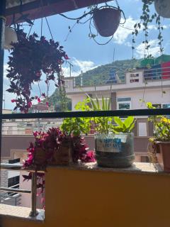 Mums Homestay & Apartment-A Real Homestay Experience - 6