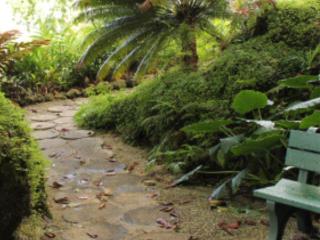 Cottage Court - 2
