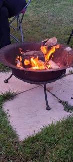 Hendre Glamping Retreat- The Sparrow's Nest - 6
