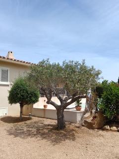 Villa LESIA - 3