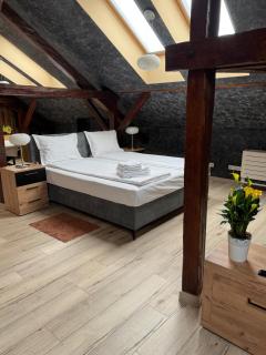 Ana's Loft Cluj - 0