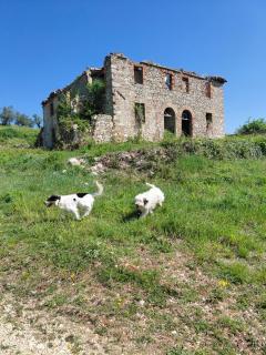 Casa Oliva - 5