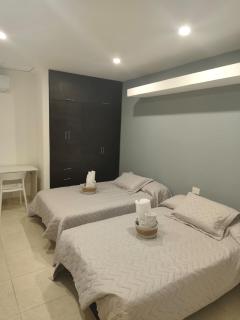 Apartamentos con estilo y amplios - 3