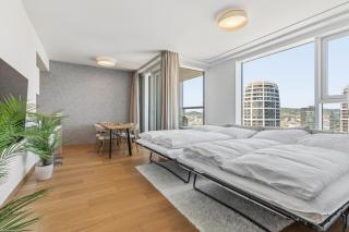 LAM Panorama Sky View - 5