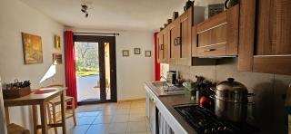 se ressourcer au coeur des oliviers en Languedoc - 6