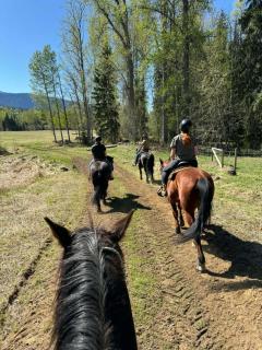 Nakiska Bear Ranch - 9