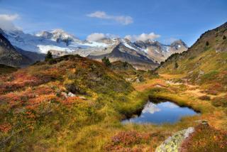 Apart Oberau - new from 2025 - Hippach - 1