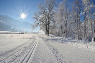 Apart Oberau - new from 2025 - Hippach - 3