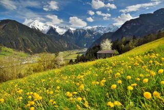 Apart Oberau - new from 2025 - Hippach - 2
