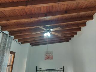 The Little House - 3